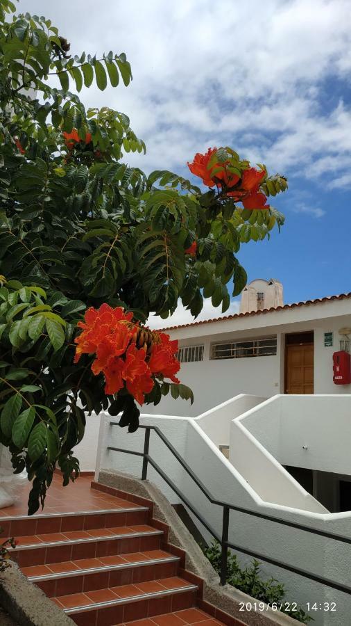 Club El Paradero Playa de las Américas Kültér fotó